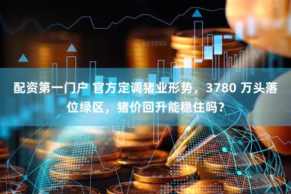 配资第一门户 官方定调猪业形势，3780 万头落位绿区，猪价回升能稳住吗？
